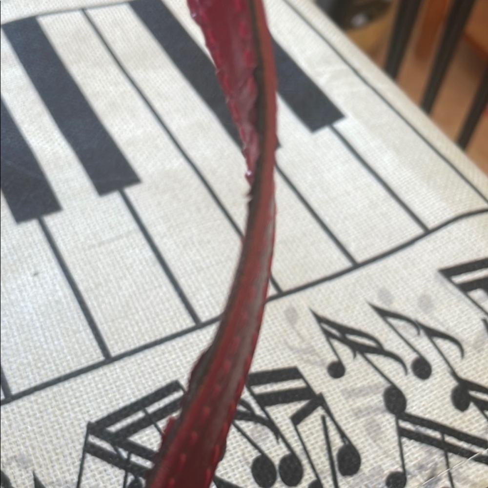 Source Unknown Red Shoulder Silver Matted Round F… - image 5